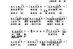 平安夜祝福视频,视频传递真挚情感